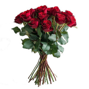 Rose rosse