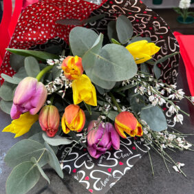 tulipani1